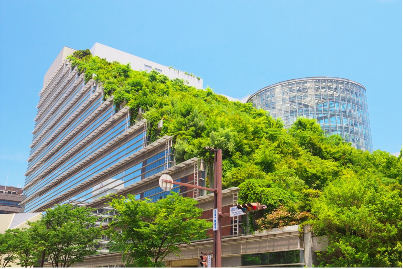 https://www.traveldailymedia.com/assets/2021/10/fukuoka-eco-building.jpg