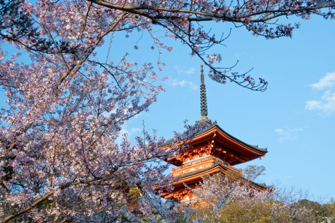 清水寺日本京都。