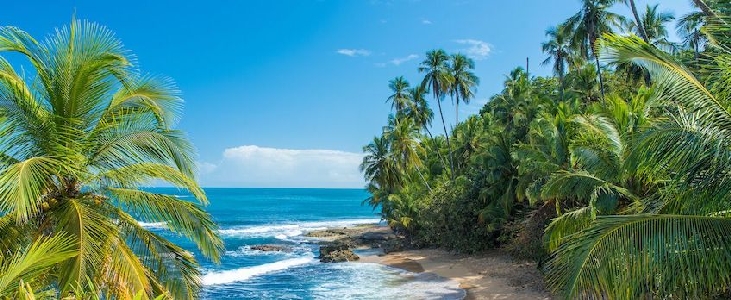 哥斯達黎加將於11月1日對所有美國遊客重新開放｜新型冠狀病毒肺炎(COVID-19)